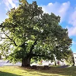 Burin Des Rosiers شقة *
