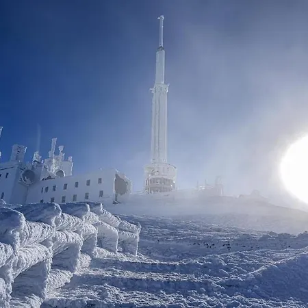 Burin Des Rosiers Olby