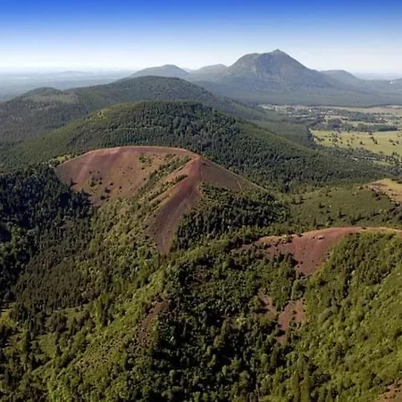 Burin Des Rosiers * Olby