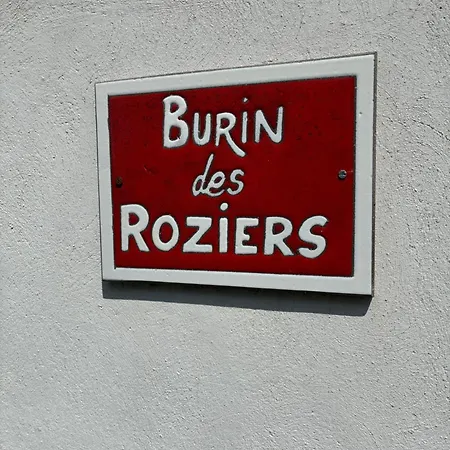 Burin Des Rosiers 公寓 奥尔比